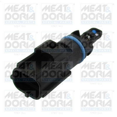 Sensor, intake air temperature